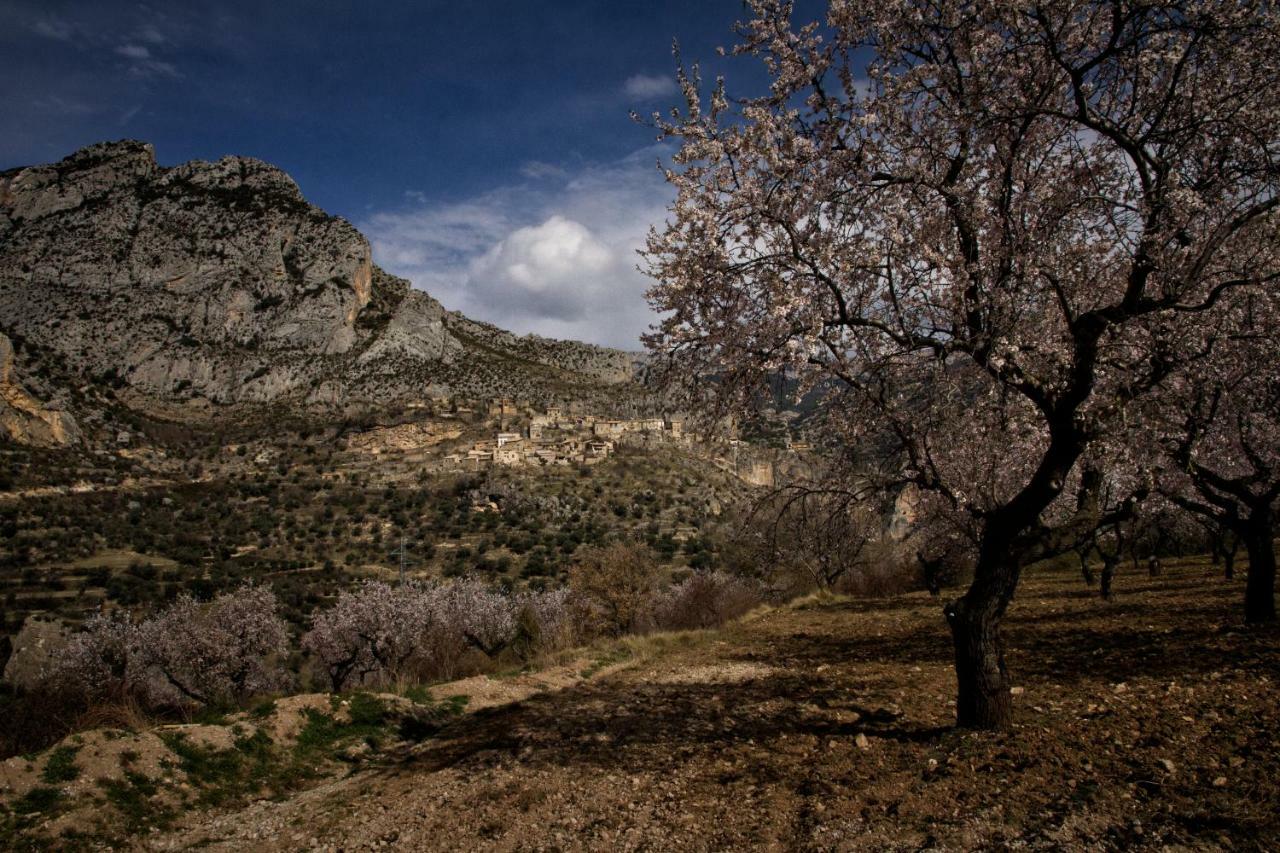 Vila Casa Jou Abella de la Conca Exteriér fotografie